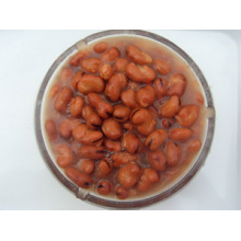 High Quality Canned Broad Bean with Best Price